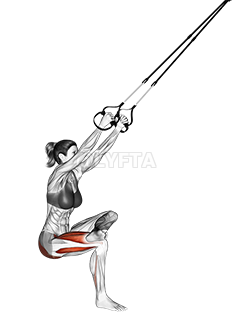 Organic Men's Hormone Support, Male Vitality & Testosterone Booster 2 oz