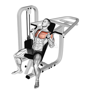 Lever Incline Hammer Chest Press - Video Guide 