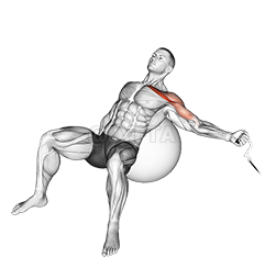 Image of Cablul cu un braț înclinat Fly pe minge de exercițiu