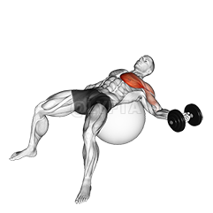 Image of Gantera cu un braț, piept, zboară pe minge de exercițiu