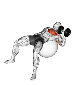 Image of Apăsați cu gantere cu un braț pe minge de exercițiu