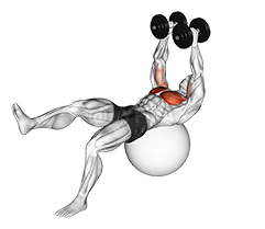 Image of Gantera cu un picior Zbură pe minge de exercițiu