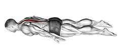 Image of Lower Back Curl