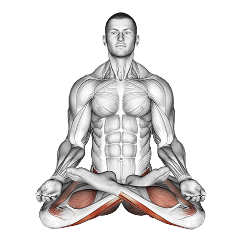 Image of Poză completă de yoga Lotus