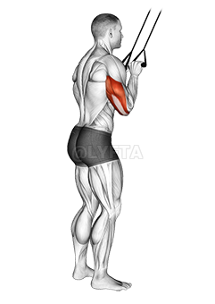 Band Pushdown - Video Guide | Lyfta