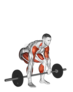 Image of Barbell Clean Pull