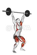 Image of Barbell Power Snatch