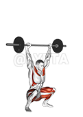 Image of Barbell Snatch