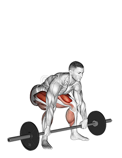 Image of Barbell Snatch Deadlift