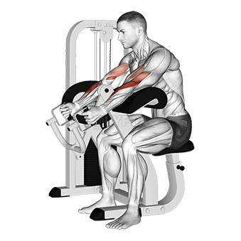 Image of Lever Hammer Grip Preacher Curl