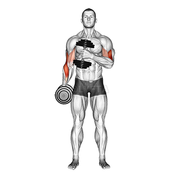 Dominant Triceps Muscle - Powering 70% of Your Arm, AI Art Generator