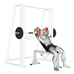 Image of Smith Machine Incline Tricep Extensie
