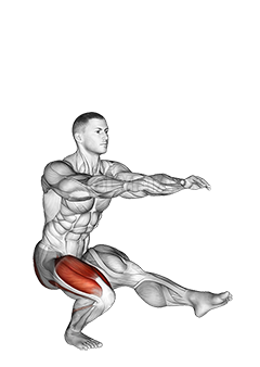 Single Leg Squat - Video Guide