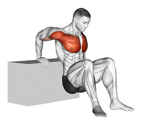 Image of Reverse Chest Stretch
