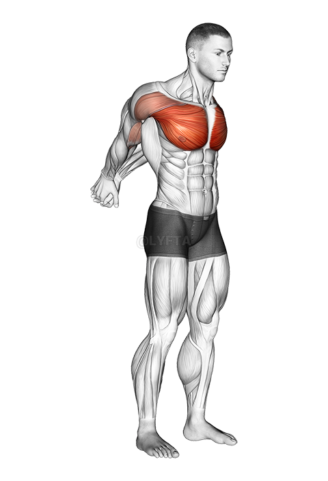 Image of Straight Arms Backward Chest Stretch