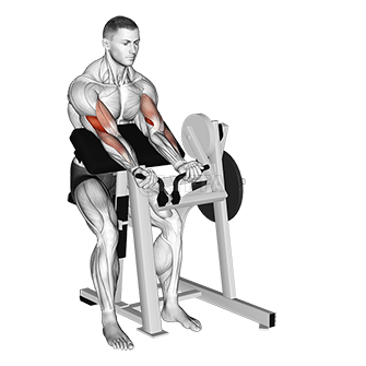 Lever Preacher Curl - Video Guide | Lyfta