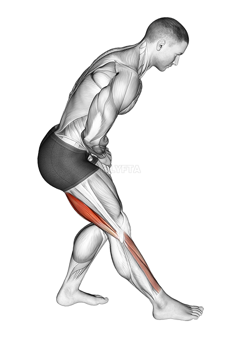Image of Standing Toe Down Hamstring Stretch