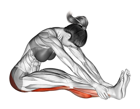 Image of Seated Knee Flexor Stretch