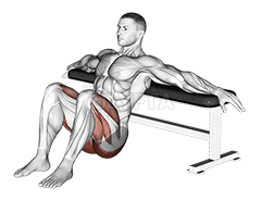 Image of Hip Thrusts