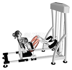 Lever Hip Thrust - Video Guide | Lyfta