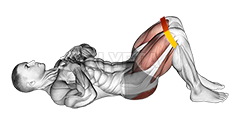 Resistance Band Glute Bridge - Video Guide | Lyfta