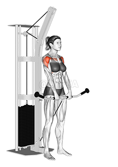 Cable Front Raise - Video Guide | Lyfta