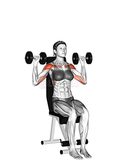 Dumbbell Seated Shoulder Press - Video Guide | Lyfta