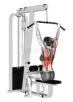 Cable Wide-Grip Lat Pulldown - Video Guide | Lyfta