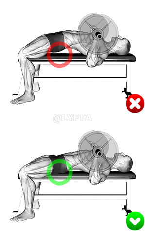 Image of Piept Bench Press - Butt