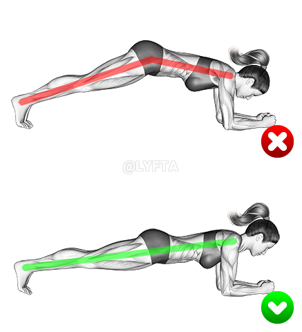 Image of Front Plank - Butt 