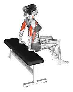 Bench Dip - Video Guide | Lyfta