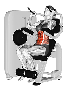 Lever Seated Crunch - Video Guide | Lyfta