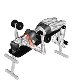 Dumbbell Decline Bench Press - Video Guide | Lyfta