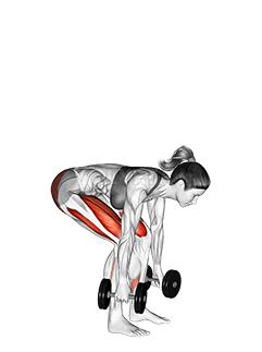 Peso muerto con mancuernas - Guía en Video Lyfta