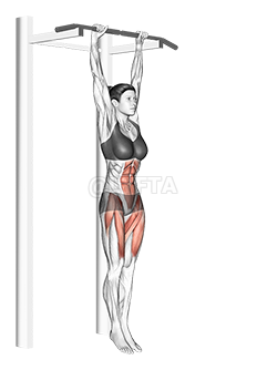 Hanging Straight Leg Raise - Video Guide