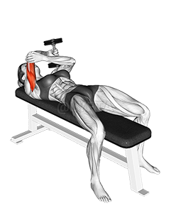 Image of Gantera culcat cu un braț Extensie triceps pronat