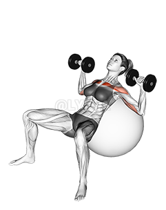 Dumbbell Incline Press on Exercise Ball Video Guide