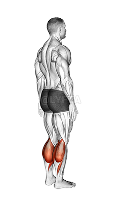 Ankle Plantar Flexion Articulations Video Guide Lyfta