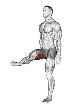 Hip - Adduction - Articulations - Video Guide | Lyfta