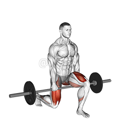 Barbell Split Squat - Video Guide | Lyfta