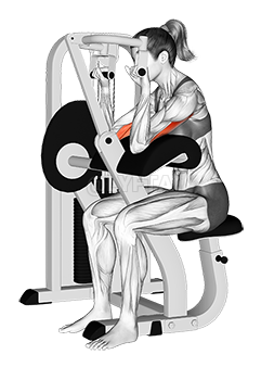 Lever Triceps Extension - Video Guide | Lyfta