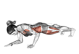 Image of Front Plank to Push up 