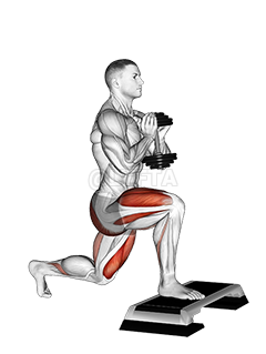 Copa con mancuernas Sentadilla dividida Pie delantero elevado - Guía en ...