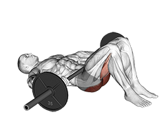 Image of Barbell Glute Bridge 