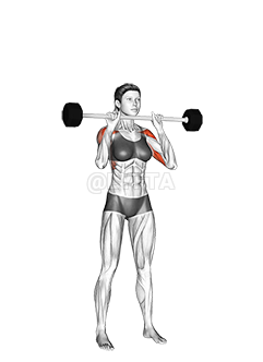 Image of Barbell Standing Close Grip Military Press