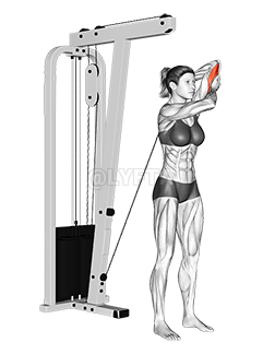Image of Extensie alternativă pentru triceps prin cablu
