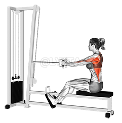 Cable Straight Back Seated Row - Video Guide | Lyfta