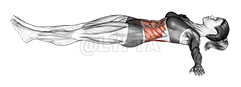 Lying Lower Back Stretch - Video Guide | Lyfta