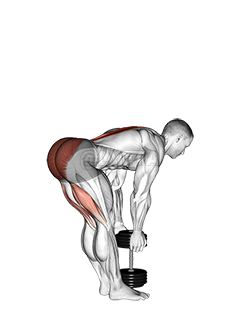 Dumbbell Stiff Leg Deadlift - Video Guide | Lyfta