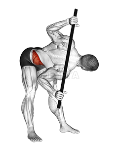 Bent Over Twist - Video Guide Lyfta